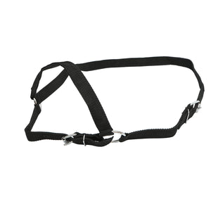 Cavezza in nylon per mucca 25mm