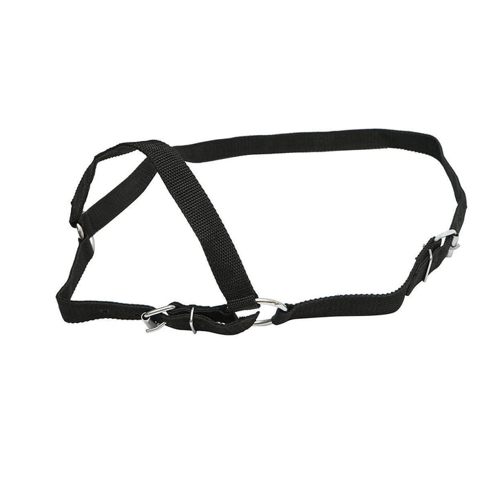 Cavezza in nylon per mucca 25mm