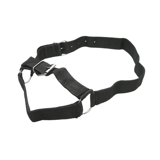 Cavezza in nylon per mucca 50mm