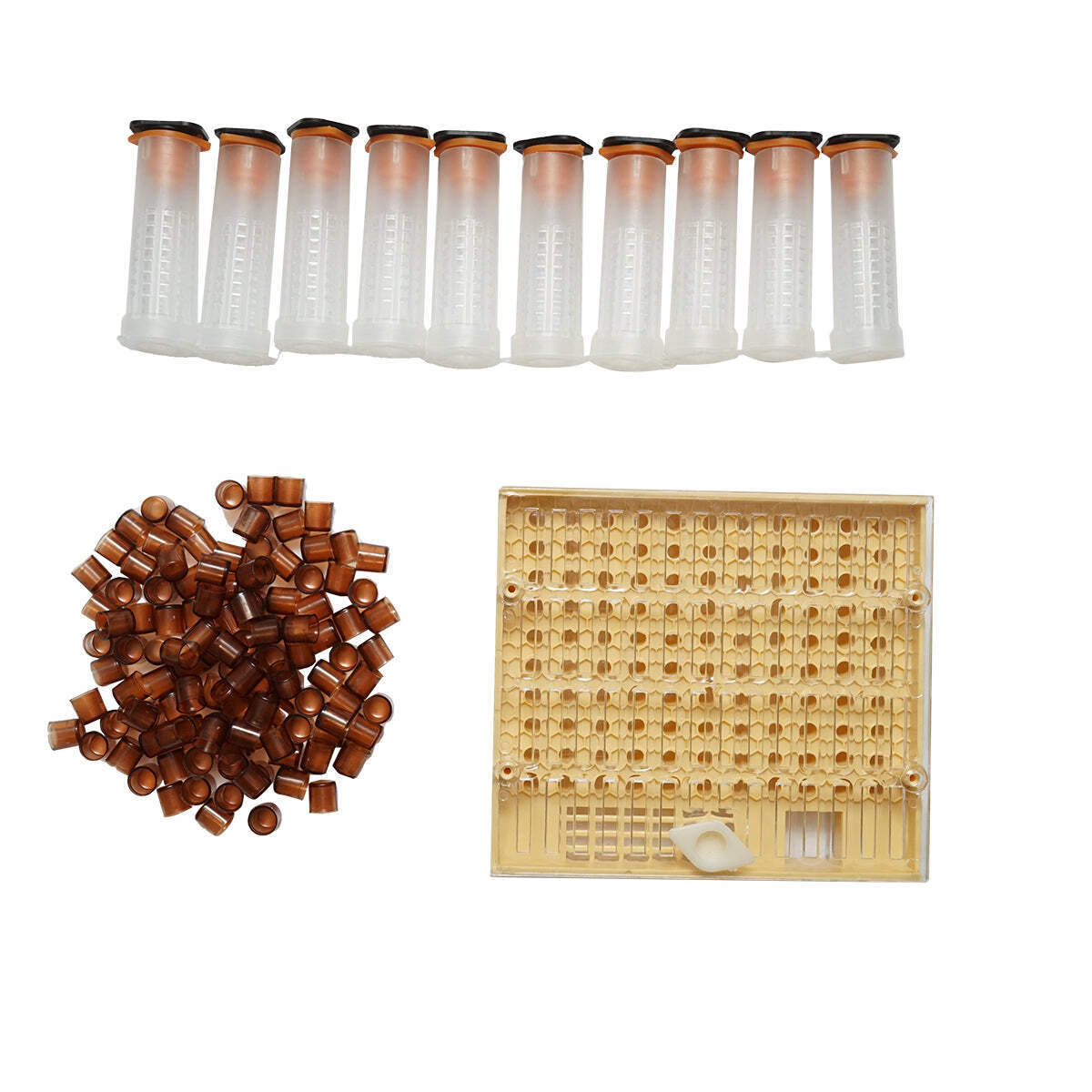 Kit di allevamento di regine