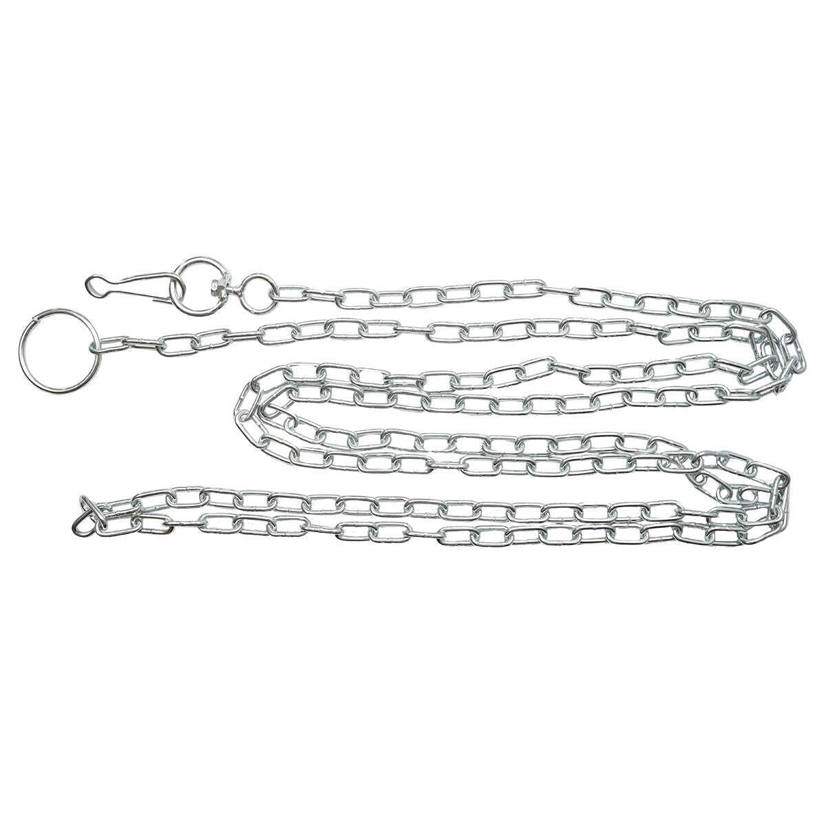 Catena in acciaio da 3,2 m per animali.