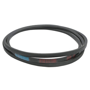 Cinghia di trasmissione B 17X11X3050 Li