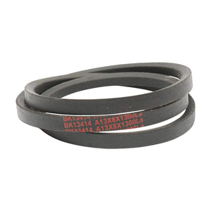 Cinghia di trasmissione 13x8x1300 La