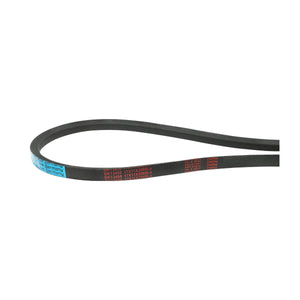 Cinghia di trasmissione 17x11x2069 La