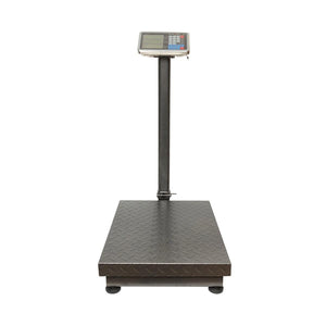 Bilancia Elettronica da Pavimento, Piattaforma 600 x 450 mm, Capacità 700 kg /100 g, Display LCD, Batteria Ricaricabile, 220V