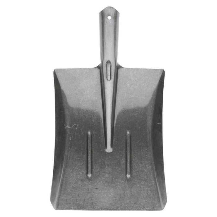 Badile Pala Acciaio 245x300x420mm Pala acciao Senza Manico