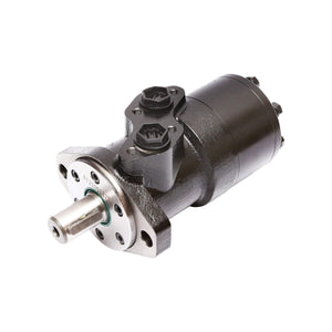 MOTORE ORBITALE BMP 250cc D=25mm 1/2