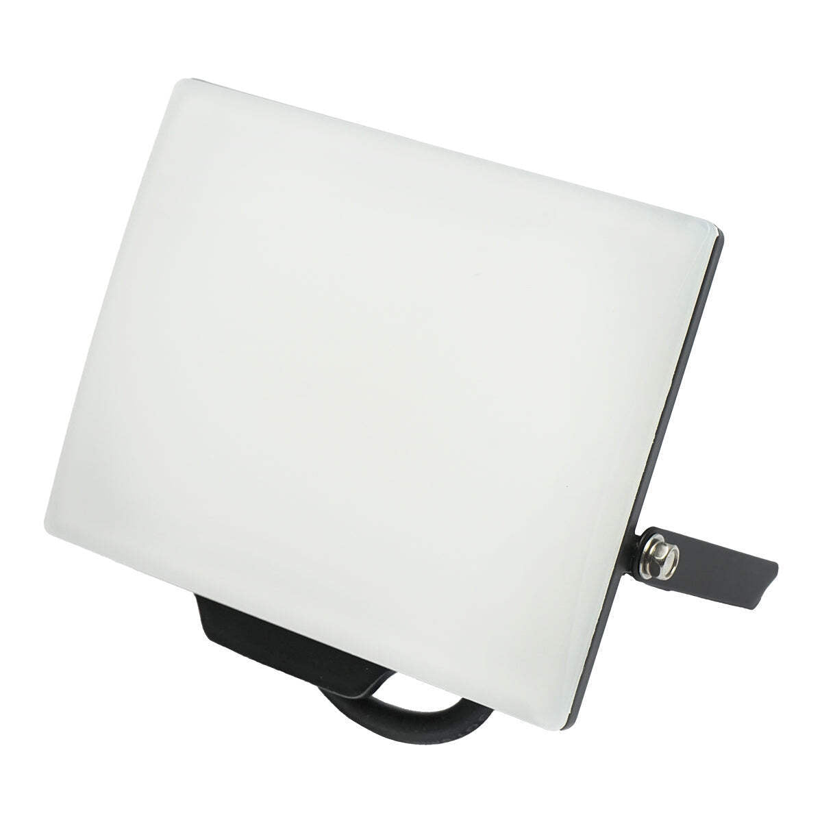 Proiettore LED 30W, 2400lm 6400K, IP65, alimentazione 220V-240V