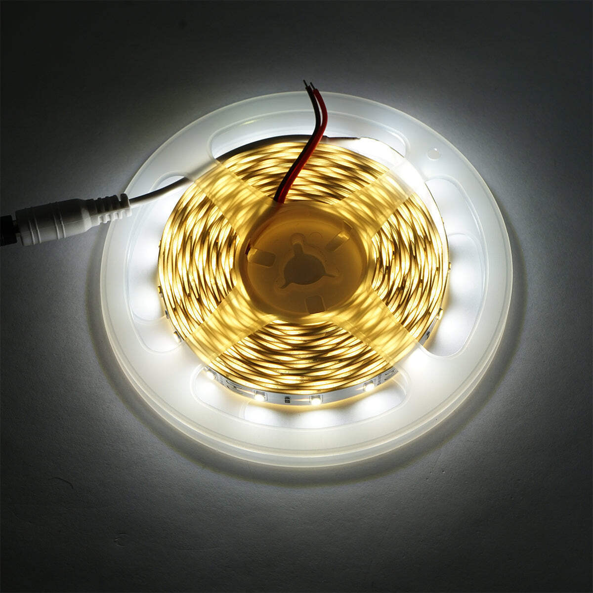 Striscia LED 2835 4.8W/m 6000K, 12-220V rotolo 5m, 60 LED/m IP20