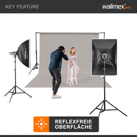 Sfondo fotografico in cartoncino grigio chiaro 2,60x10 m, Backdrop foto antiriflesso e resistente, per studi fotografici