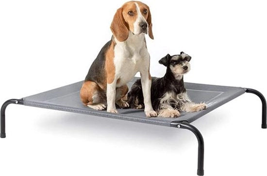 Letto Elevato per Cani di Medie Dimensioni - Grigio, Adatto per Interno ed Esterno, Campeggio - Dimensioni M: 105 x 80 cm, Altezza: 20 cm