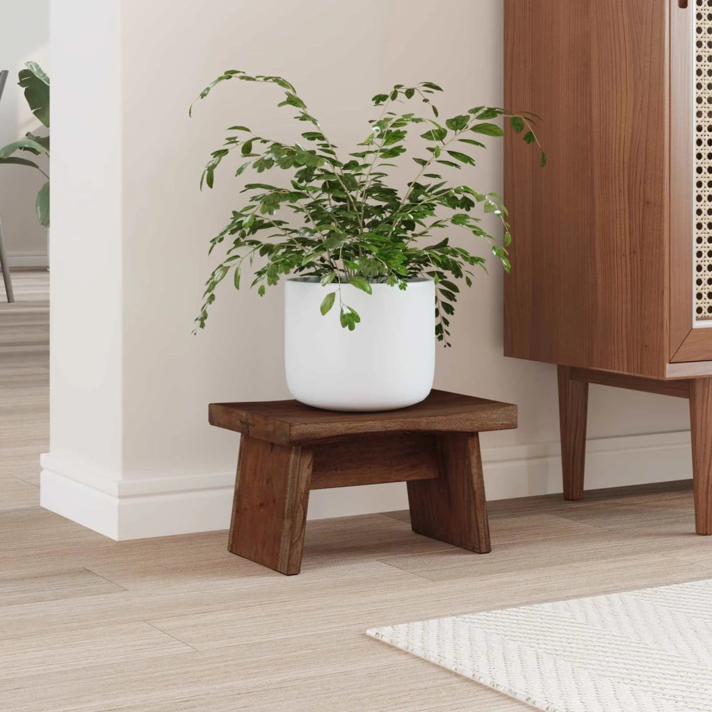 Pouf Naturale 29 x 20 x 17 cm Legno di Mogano 42012396
