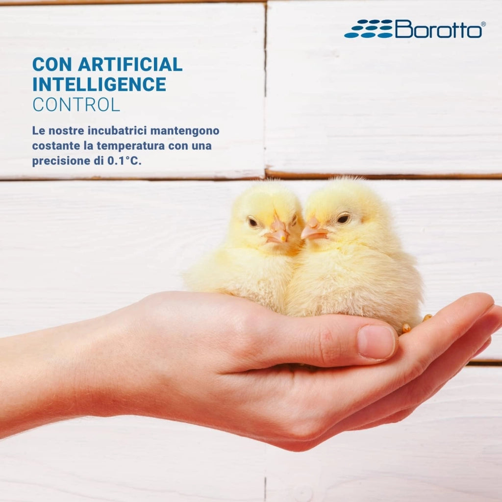 Borotto REAL 49 Expert - Incubatrice Automatica Professionale Brevettata, con Umidificatore Automatico Sirio - per 49 Uova o 196 Uova Piccole