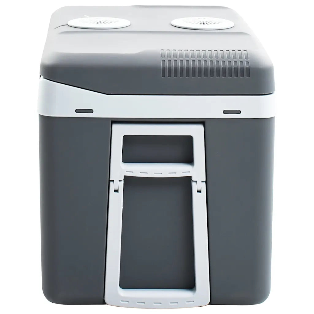 Scatola Termoelettrica Portatile 40 L 12 V 230 V E 51199