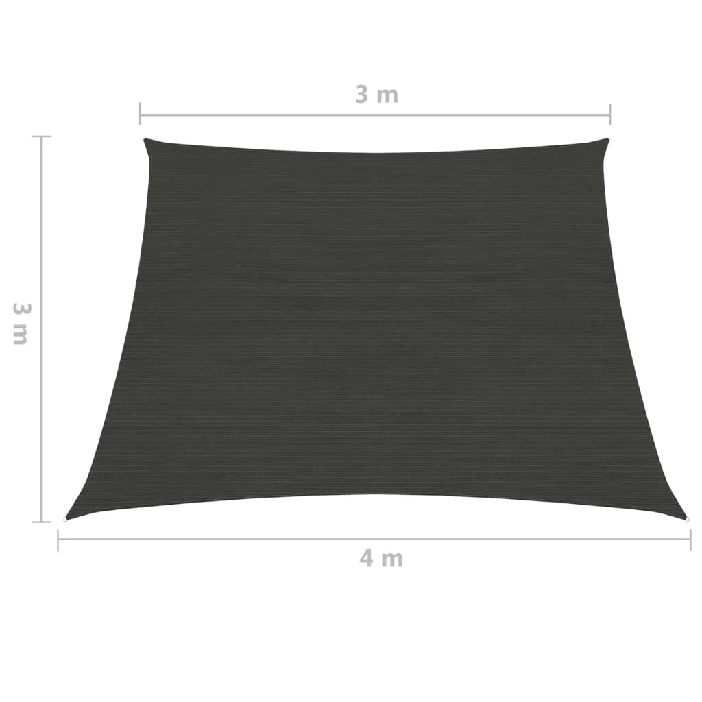Vela ombreggiante/ombrellone 160 g/m² HDPE 3/4 x 3 m antracite 02_0008918