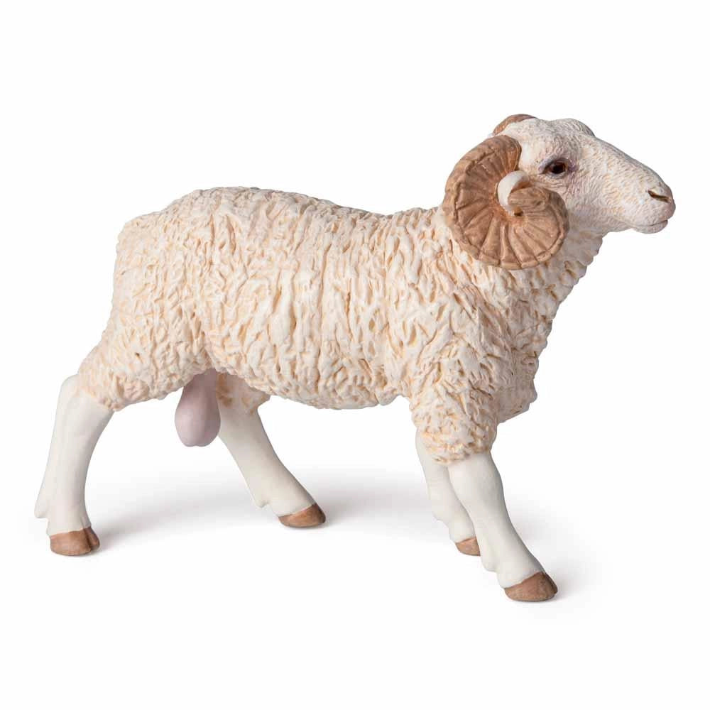 Papo - Ram