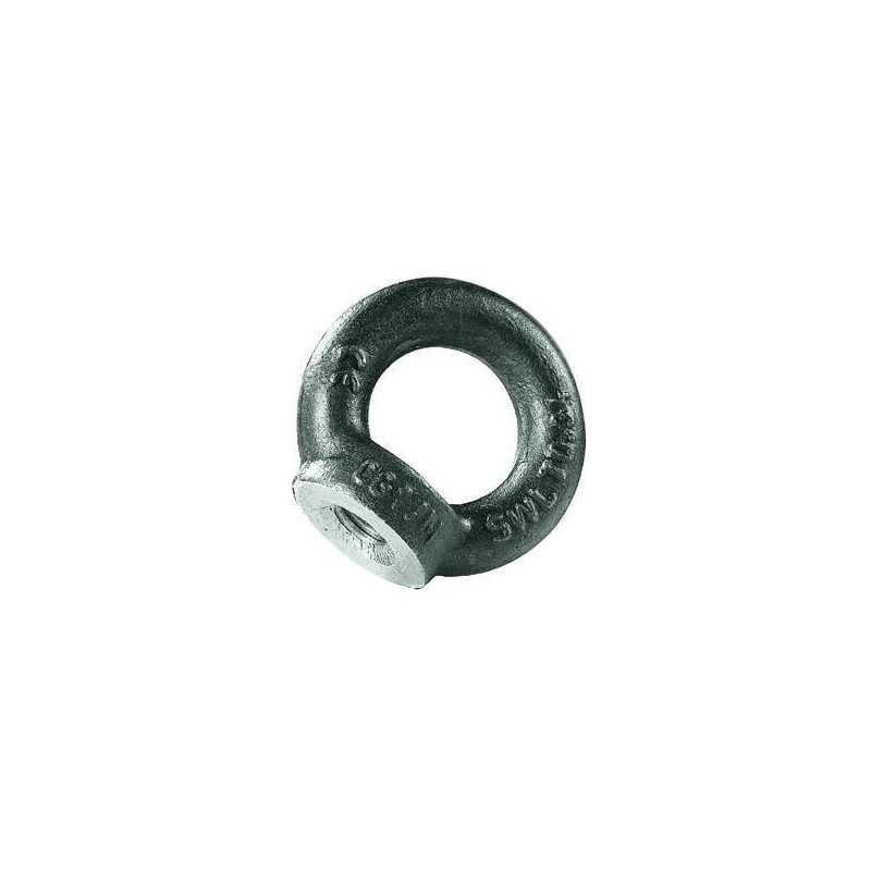 Golfari Zincati Carcano Ce din-582 Femmina 6 Mm