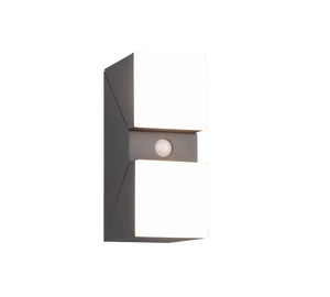 Applique da esterno LED 2 luci, alluminio, antracite, 9x28x11 cm, Avon