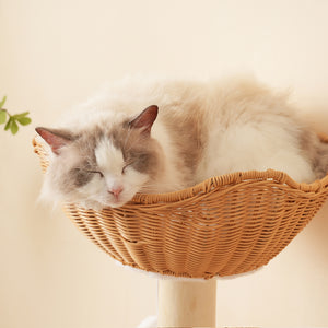 Tiragraffi-Xylo-108cm legno massello con 2 ceste