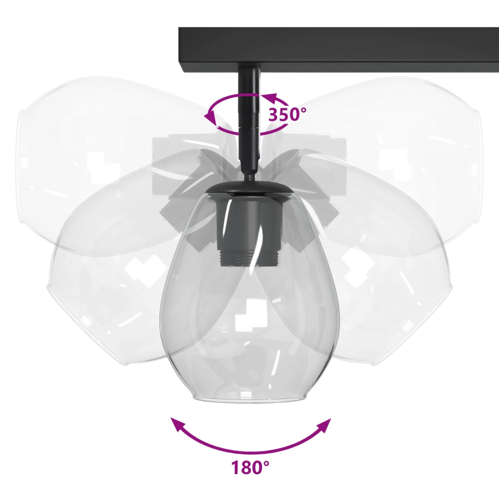 Lampade da soffitto con paralume in vetro regolabile Anthracite E27