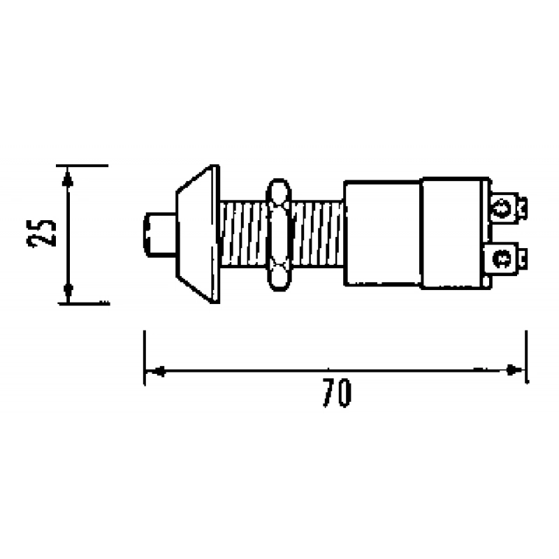 PULSANTE 30A