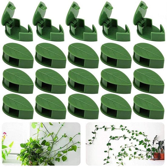 Fissaggio per piante, fissaggio per piante rampicanti, fissaggio verde per piante, fissaggio per piante di rampicazione, fissaggio per piante con adesivo, supporto per cavi, 60 pezzi