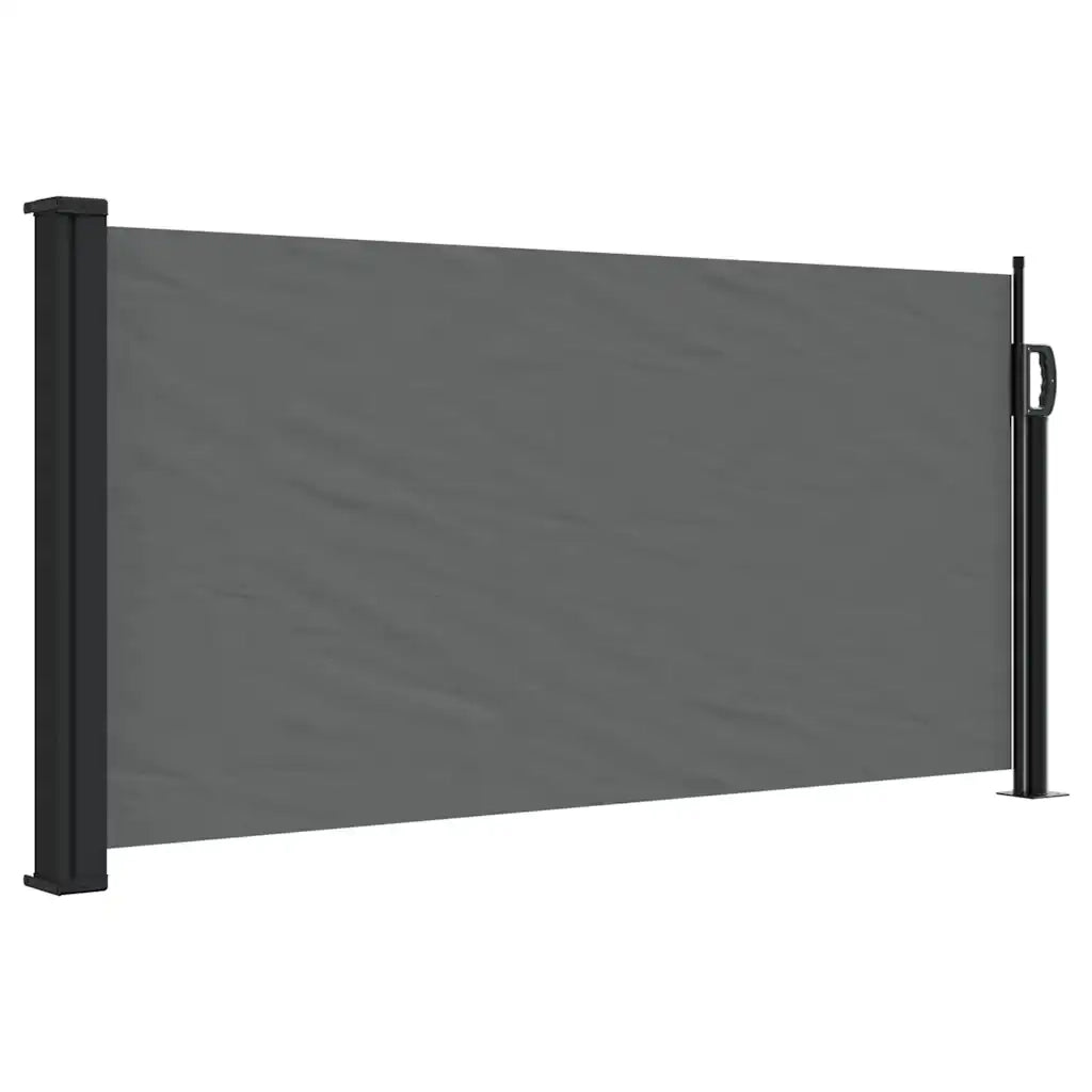 Tenda da sole laterale retrattile antracite 100x500 cm 4004398