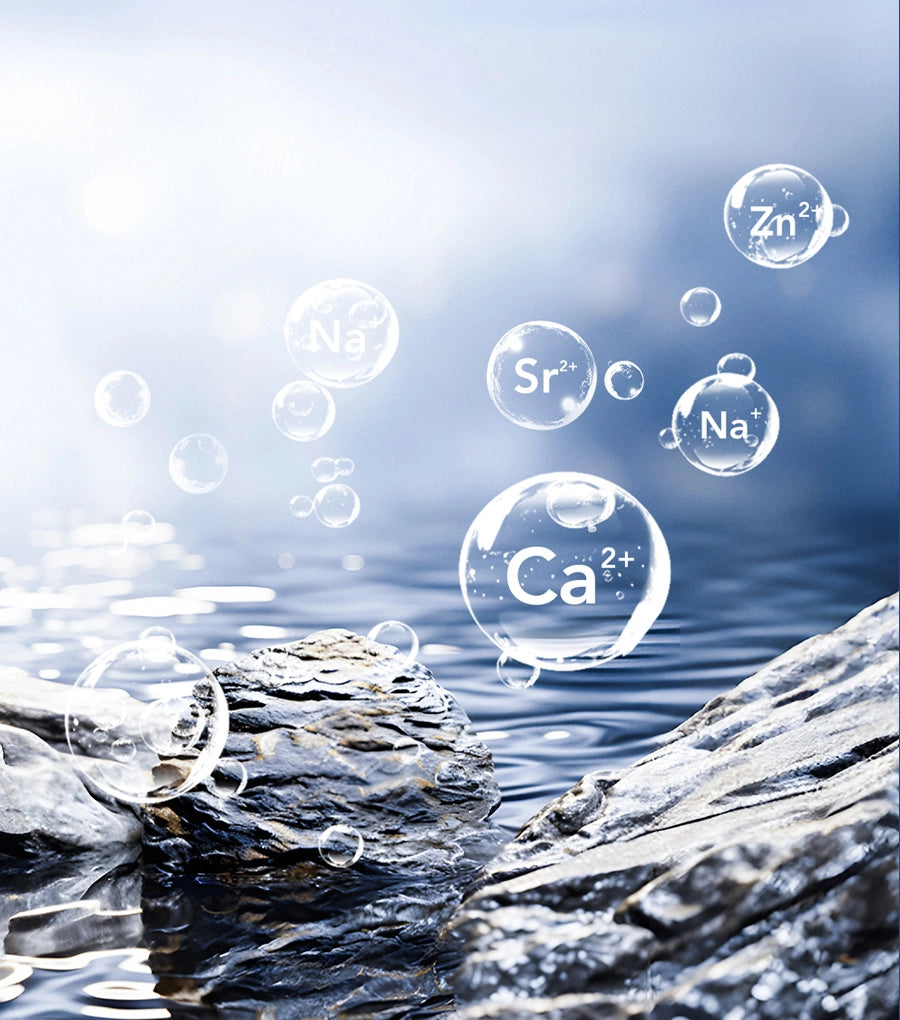 Purificatore d'Acqua a Osmosi Inversa da Banco R9
