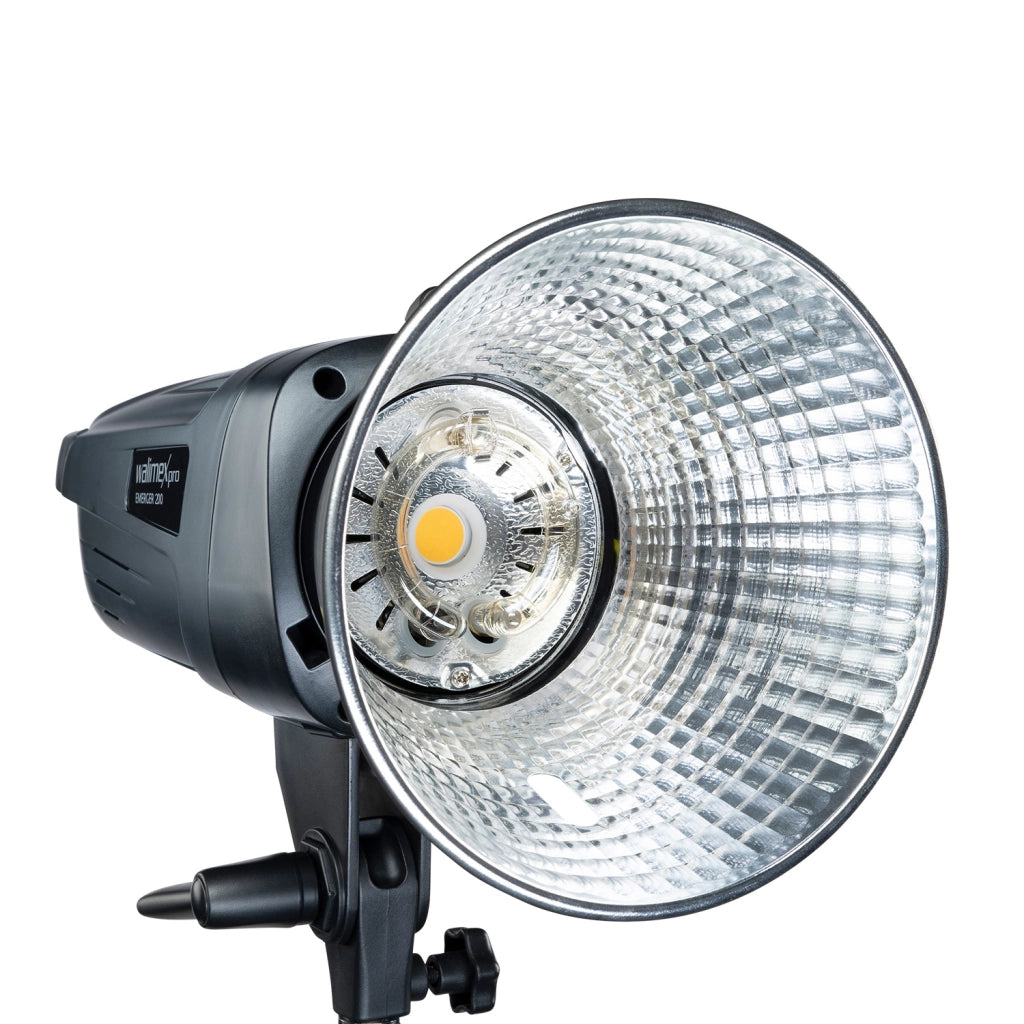 Emerger 200 Set flash fotografico con potenza di 200 Ws, con radio a 2,4 GHz, softbox 60 x 90 cm e treppiede per luci, inclusa borsa per il trasporto