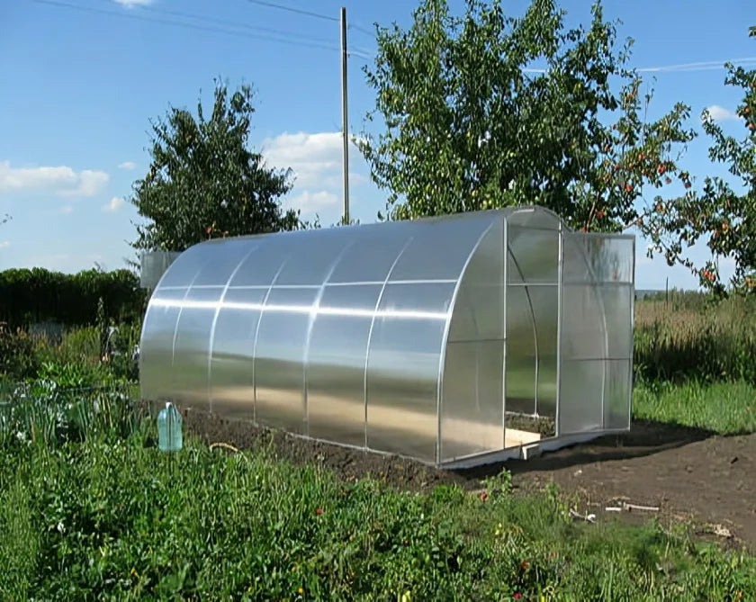 Serra da giardino OPTIMA 2.5 x 8 m (20 m²), 6 mm con rivestimento in policarbonato