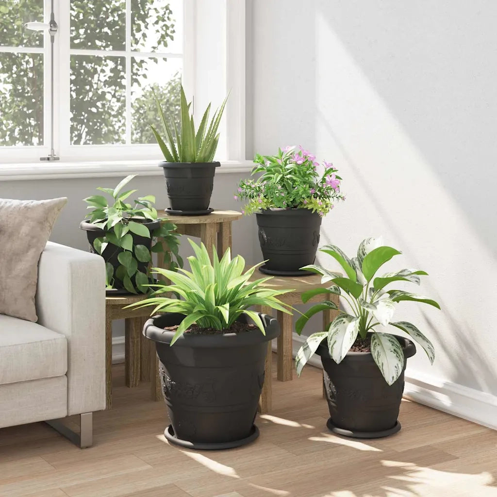Vassoio Rotondo per Fiori 24 pcs Nero Ø 27 x 2,5 cm Plastica