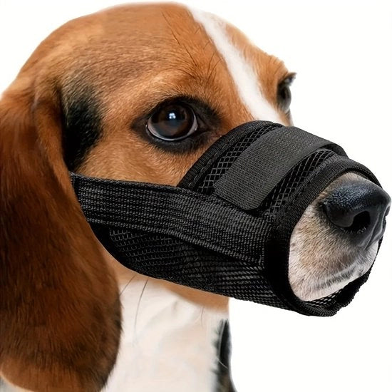 Muffa adesiva per cani in mesh - 3-Pack - Muffa adesiva per cani veloce da installare - con cintura regolabile - Muffa prevenzione morso e urla - prevenzione di pasto inavvertito - per cani piccoli medi grandi (XL, nero)