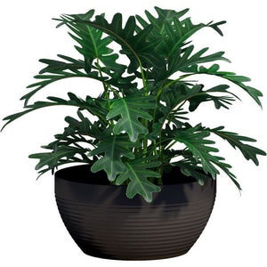 Bicchiere - GARDEN ID - Green Care Impact Nero-Anth - 35 x 16 cm - Garanzia 10 anni - 100% riciclato - Resistente UV/gel