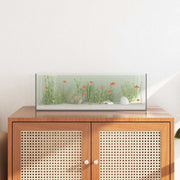 Acquario con archiviazione Trasparente 60 x 20 x 20 cm Vetro 42020383