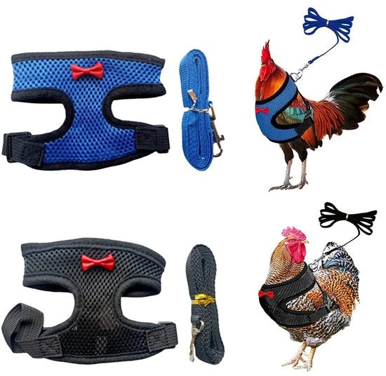 Cinturoni per Polli/Canis 2 pezzi - Adattabile - Cinturone per Polli/Cani - Corda per Polli/Allenamento - Nylon Respirante - Altezza della Cintura 30-38 cm - Cinturone per Animali da Compagnia