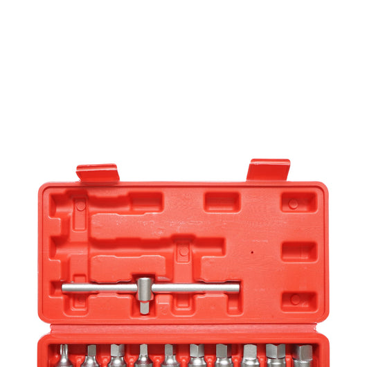 Set di chiavi per tappi coppa olio con profilo quadrato, esagonale, torx 21 pezzi Breckner Germany