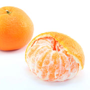 Gardenaria Satsuma - Citrus unshiu 'Miyagawa' - Pianta di agrume da frutto in vaso Altezza: 70/80 cm (vaso 22)