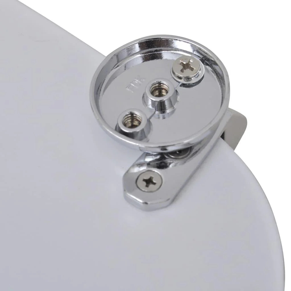 Sedile WC con coperchio a forma di sassolino tazza WC 02_0002888