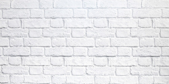 PANNELLO DECORATIVO CM 50X100 DISEGNO MURO PEZZI: 15