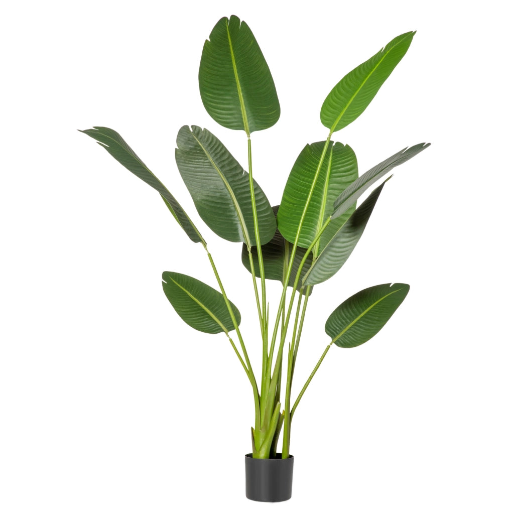 Albero di Banano Artificiale 160 cm ¨C zephmum ¨C Verde con Vaso e Foglie