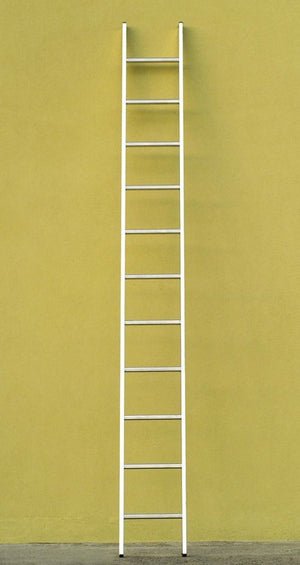 SCALA IN ALLUMINIO DA APPOGGIO VENUS 14 GRADINI