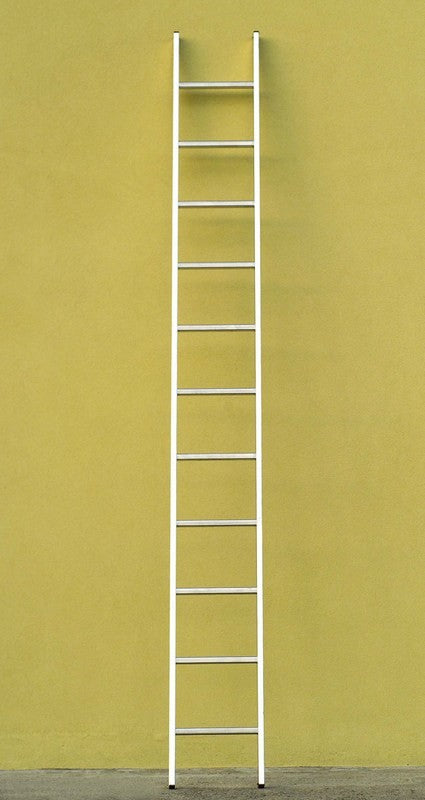 SCALA IN ALLUMINIO DA APPOGGIO VENUS 15 GRADINI