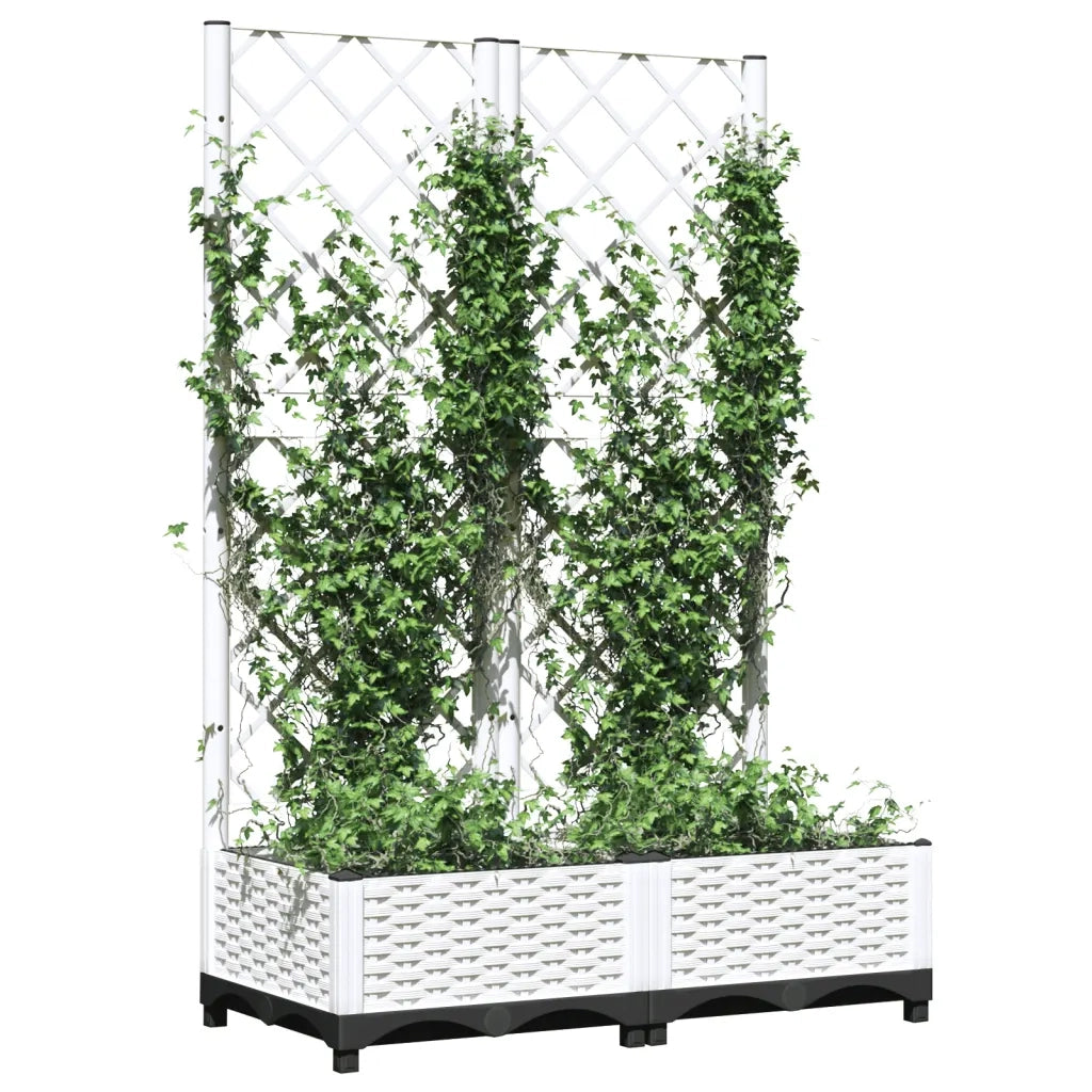 Fioriera da Giardino con Graticcio Bianco 80x40x121,5 cm PPcod mxl 119036