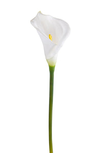 Set 6 Fiori Artificiali di Calla Semi Aperta Altezza 66 cm Bianco