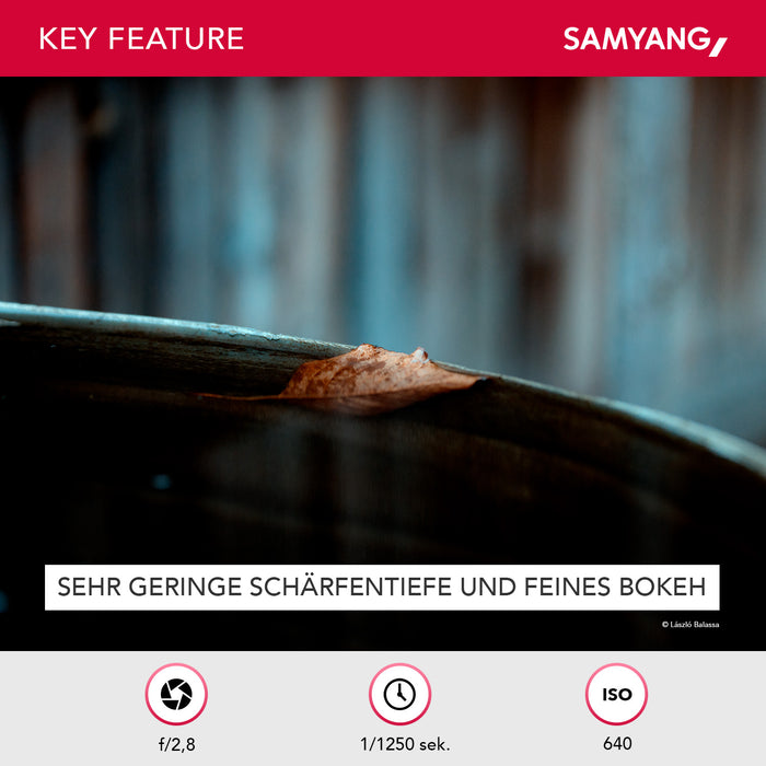 MF 100mm F2.8 Macro per Sony E - Teleobiettivo macro per Sony E, adatto per APS-C e full frame, messa a fuoco manuale, per Sony E - A6100, A6400, A6600, A6500, A1, A7S III, A7C II A7C R