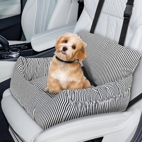 Autostoel per piccoli cani - Cuscino rimovibile e lavabile, cintura di sicurezza e compartimenti di stoccaggio