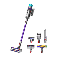 Dyson Gen5 Detect Absolute Grey/Purple, Viola