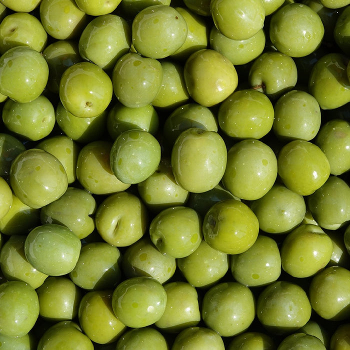 CONCIME curativo fugicida LIQUIDO BIOLOGICO BORDOGREEN funghi FLOW GREEN 1 LT