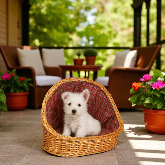 Cuccia lettiera in vimini con cuscino cesta lettino per animali 46x34x36 small