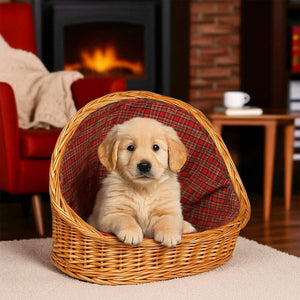 Cuccia lettiera in vimini con cuscino cesta lettino per animali 54x40x44 medium